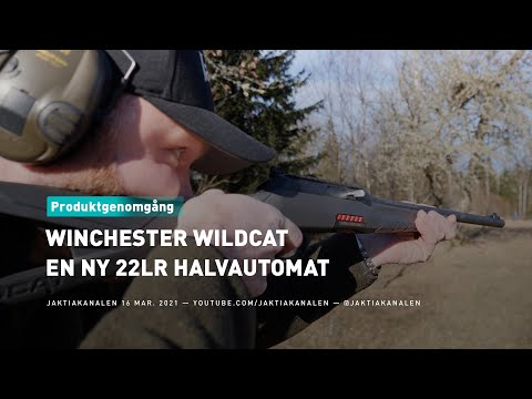 Winchester Wildcat 22 lr