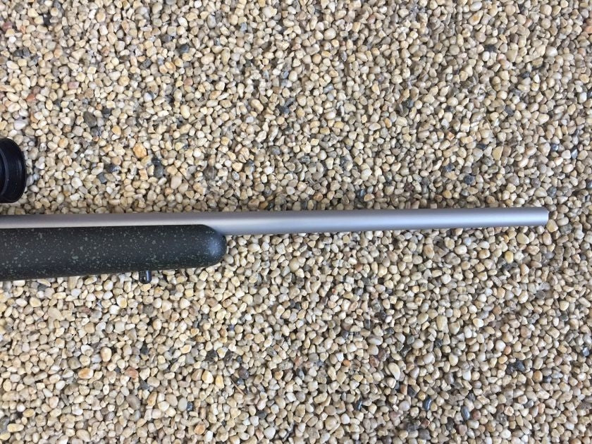 CZ455 synt stainless cal.22