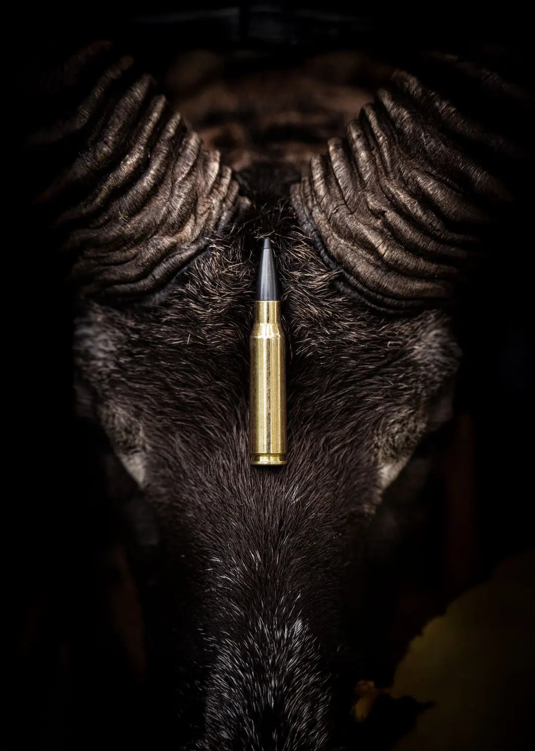 NORMA KAL. 9,3x62 ODIN 14,9g / 230grain